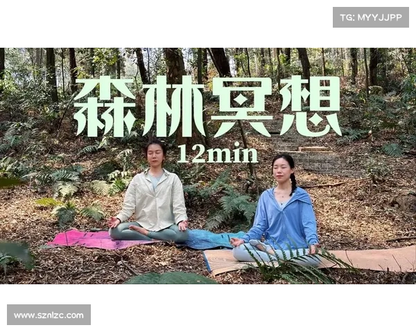 在幽静森林中冥想的最佳方法与技巧探索