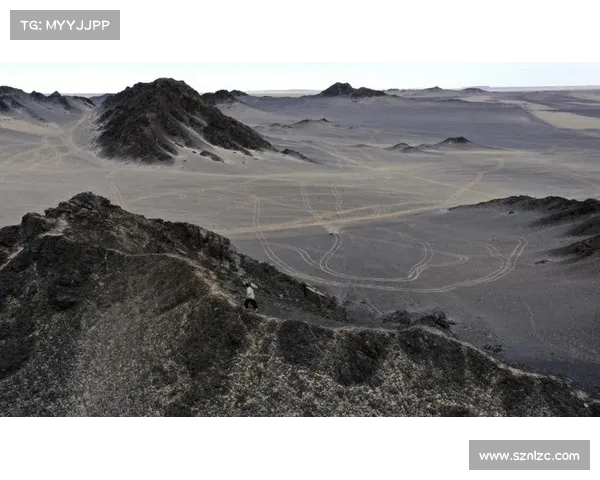 冒险旅行准备指南:如何有效应对怪物战斗并确保自身安全 冒险旅行准备指南:如何有效应对怪物战斗并确保自身安全