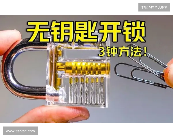 如何掌握热血无赖中开锁技巧的秘诀和实用技巧解析 如何掌握热血无赖中开锁技巧的秘诀和实用技巧解析