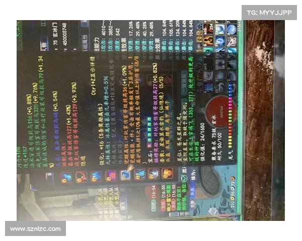 如何通过合理加点提升武魂玄冰的输出与防御平衡效果