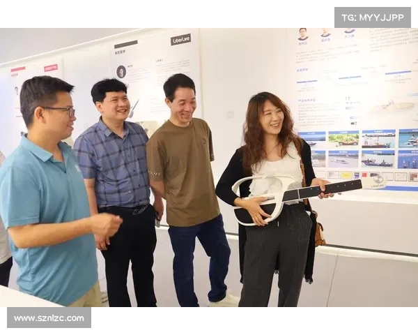 心型护匣设计中的工艺创新探索与技术突破分析 心型护匣设计中的工艺创新探索与技术突破分析